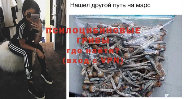 дурь Осташков