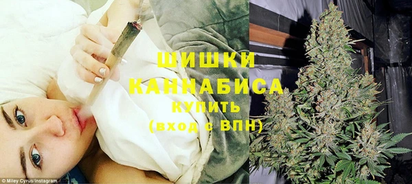 Альфа ПВП Осинники