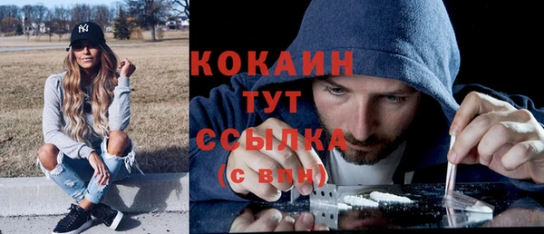 дурь Осташков