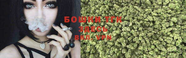 Альфа ПВП Осинники