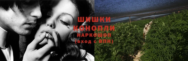 Альфа ПВП Осинники