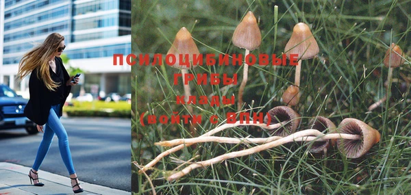 дурь Осташков