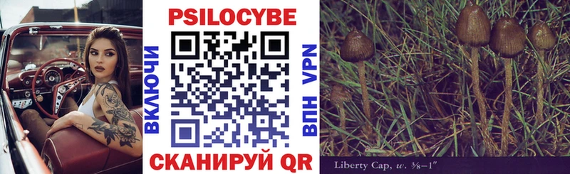 Псилоцибиновые грибы Magic Shrooms  ссылка на мегу ONION  Суоярви 